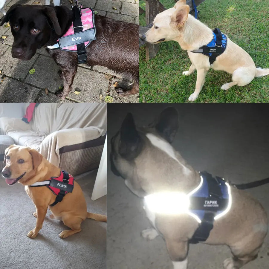 Dog Harness NO PULL Reflective Breathable Adjustable Pet Harness For Dog Vest ID Custom Patch Outdoor Walking Dog Supplies