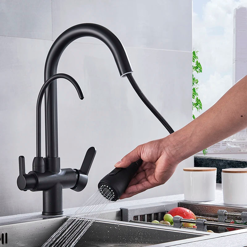 Matte Black Pure Water Kitchen Faucet Dual Handle Hot and Cold Drinking Water Pull Out Kitchen Mixer Taps