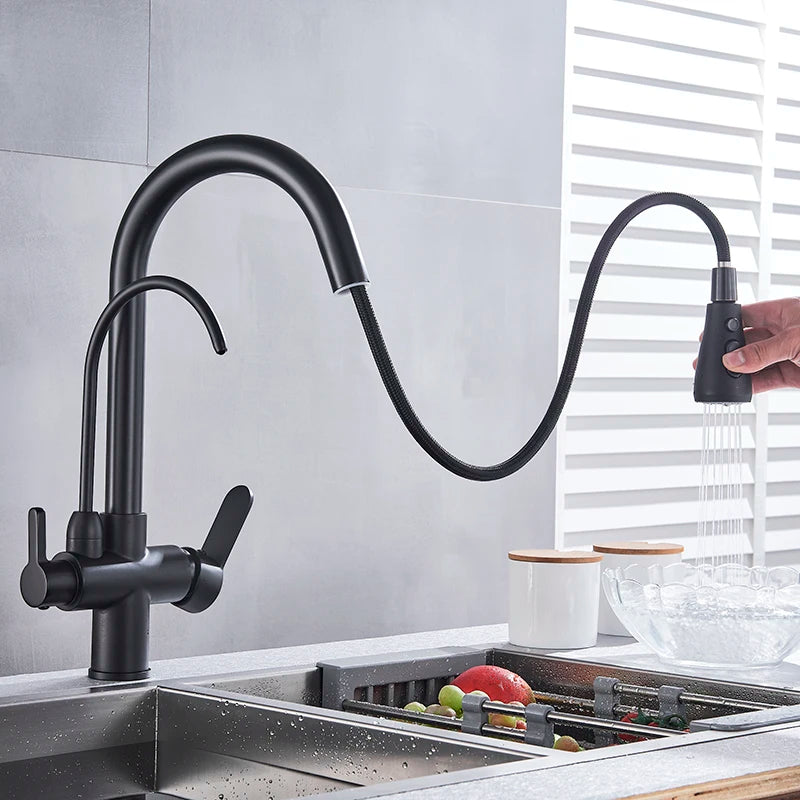 Matte Black Pure Water Kitchen Faucet Dual Handle Hot and Cold Drinking Water Pull Out Kitchen Mixer Taps