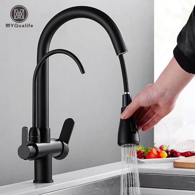 Matte Black Pure Water Kitchen Faucet Dual Handle Hot and Cold Drinking Water Pull Out Kitchen Mixer Taps