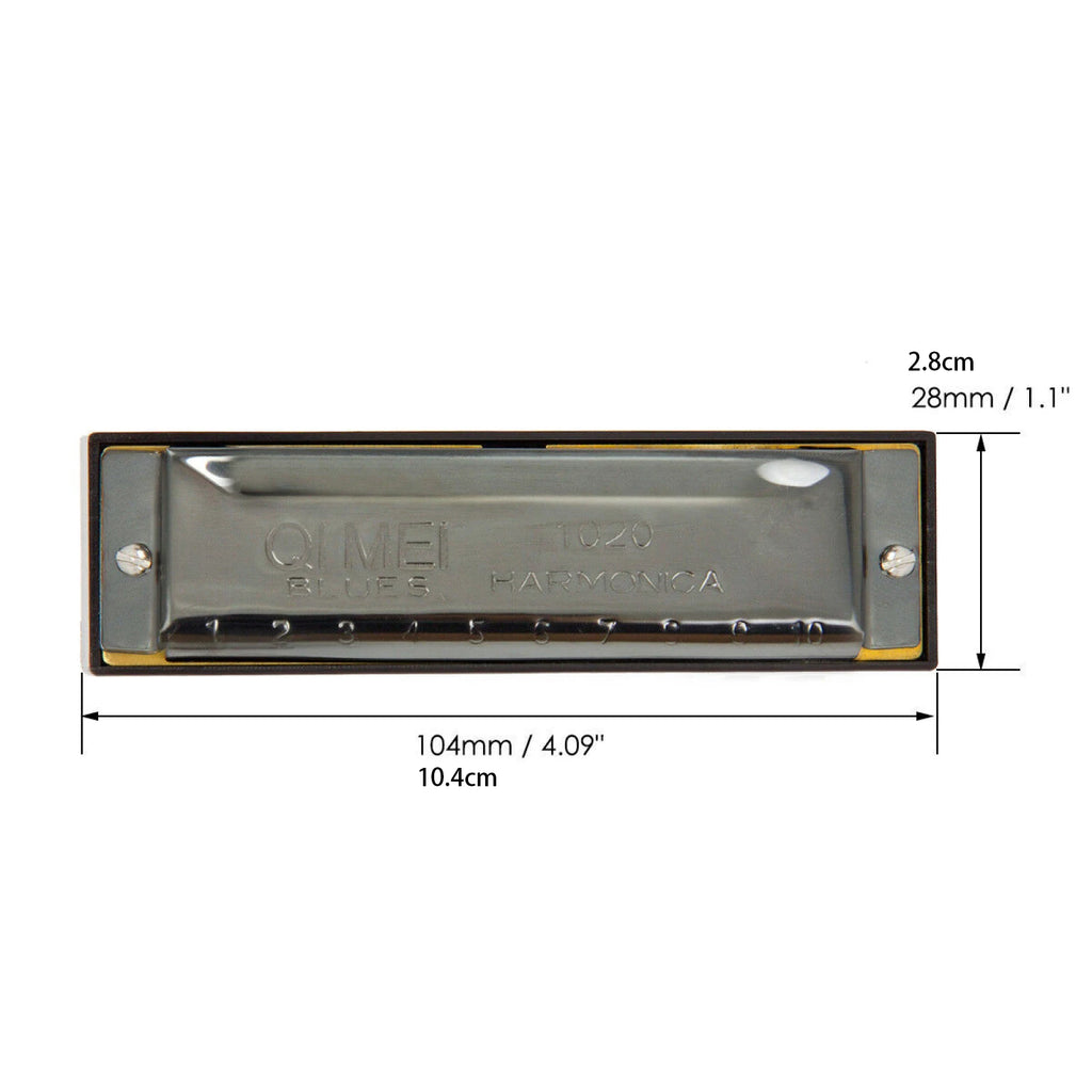 Stainless Steel 10 Hole Key of C Kids Blues Harmonica French Harp Mouth Organ Phosphor Bronze Reeds High Quality
