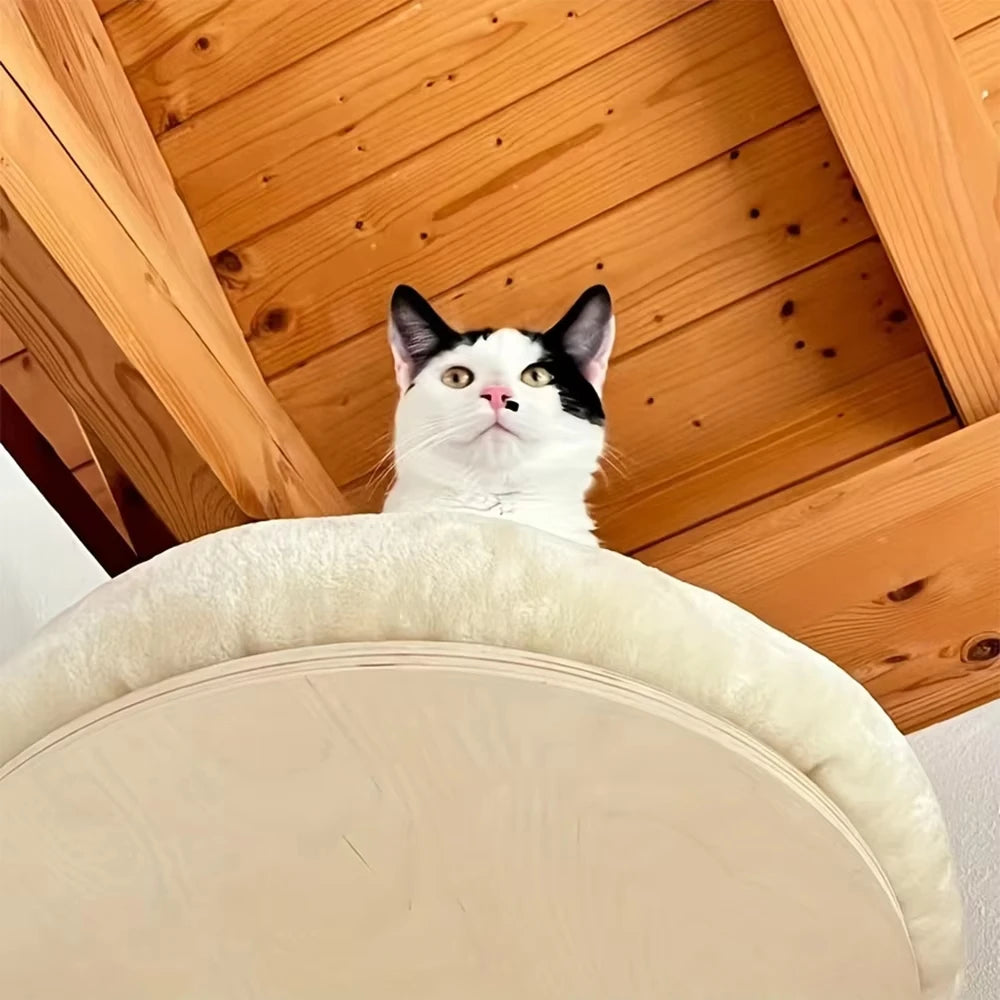 Wall-Mounted Wooden Cat Climbing Ladder with Hammock and Scratching Post