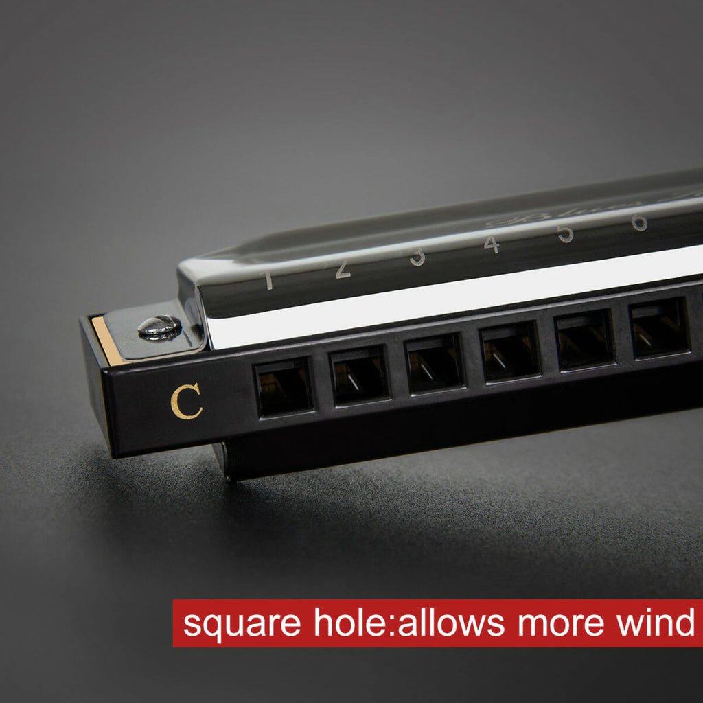 Stainless Steel 10 Hole Key of C Kids Blues Harmonica French Harp Mouth Organ Phosphor Bronze Reeds High Quality