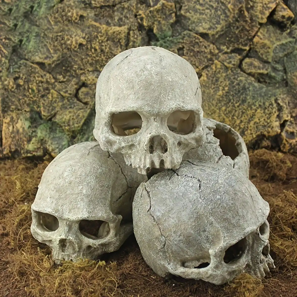 Realistic Artificial Skull Decor for Reptile Terrariums Ideal for Bearded Dragons Snakes Durable Enhances Habitat Aesthetics