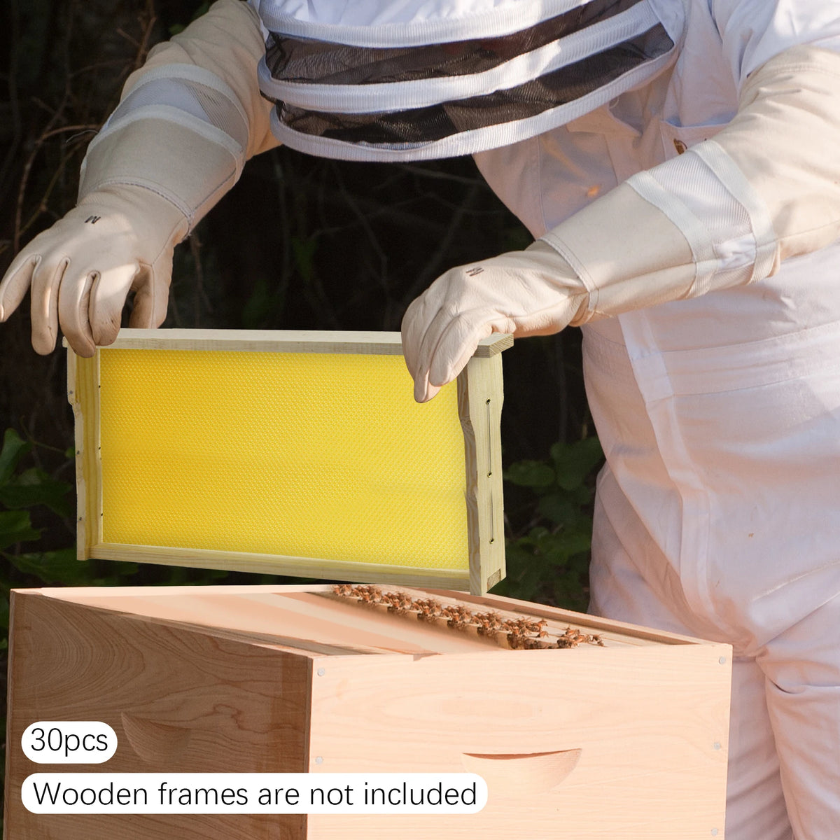 30-Pack Beeswax Foundation Sheets Natural Beeswax Hive Foundations Beekeeper's Starter Kit 7.68x16.34" Beekeeping Sheets for Increased Honey Production