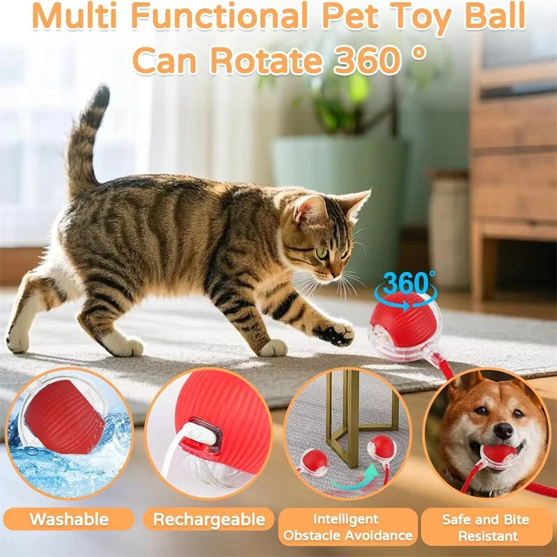 Automatic Rolling Cat Ball Toy
