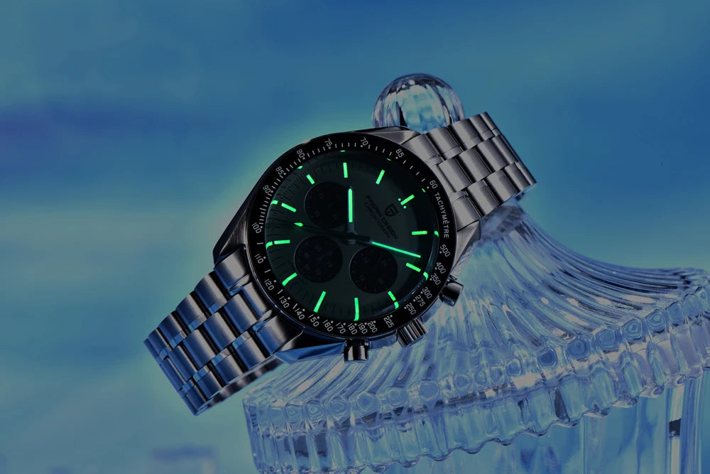 PAGANI DESIGN Men's Luxury Quartz Watch