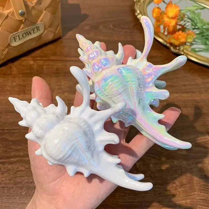 Seashell Acrylic Claw Hair Clip