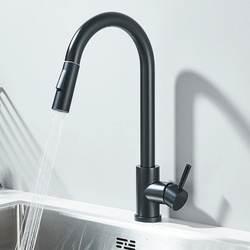 Matte Black Pull-Out Kitchen Faucet with 2 Spray Modes