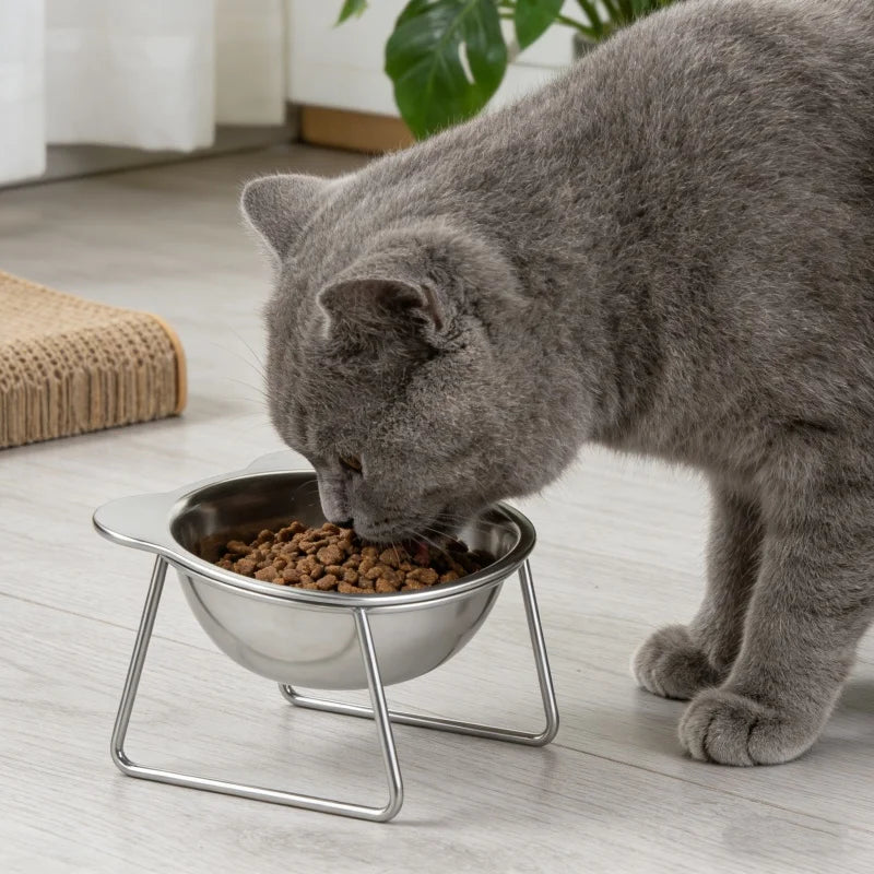 BOOTEELY Tilted Stainless Steel Cat Bowl with Metal Stand, Raised Food and Water Dish for Cats, Kittens and Puppies