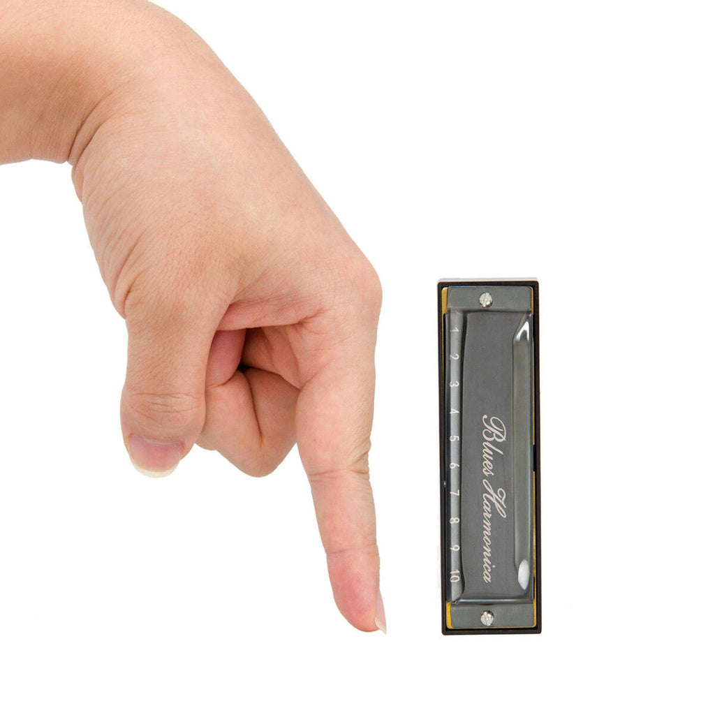 Stainless Steel 10 Hole Key of C Kids Blues Harmonica French Harp Mouth Organ Phosphor Bronze Reeds High Quality