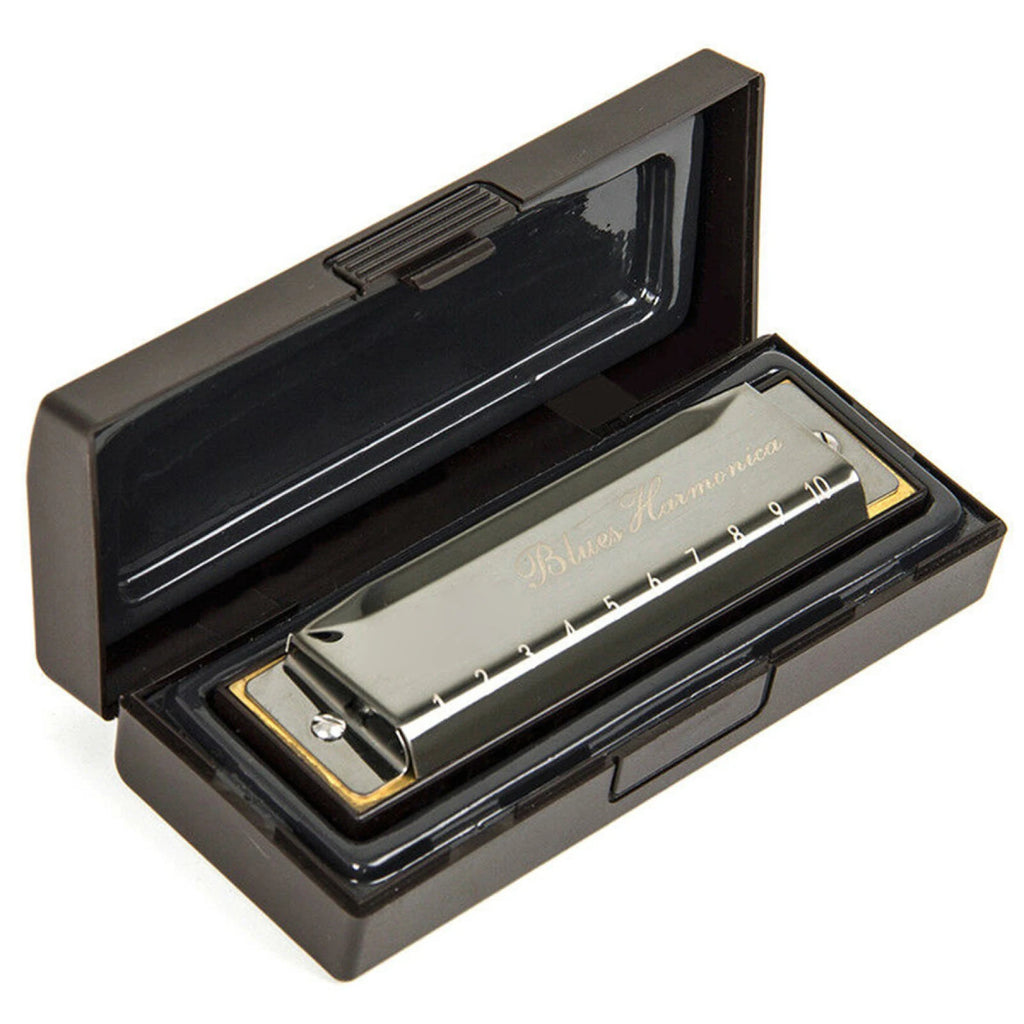 Stainless Steel 10 Hole Key of C Kids Blues Harmonica French Harp Mouth Organ Phosphor Bronze Reeds High Quality