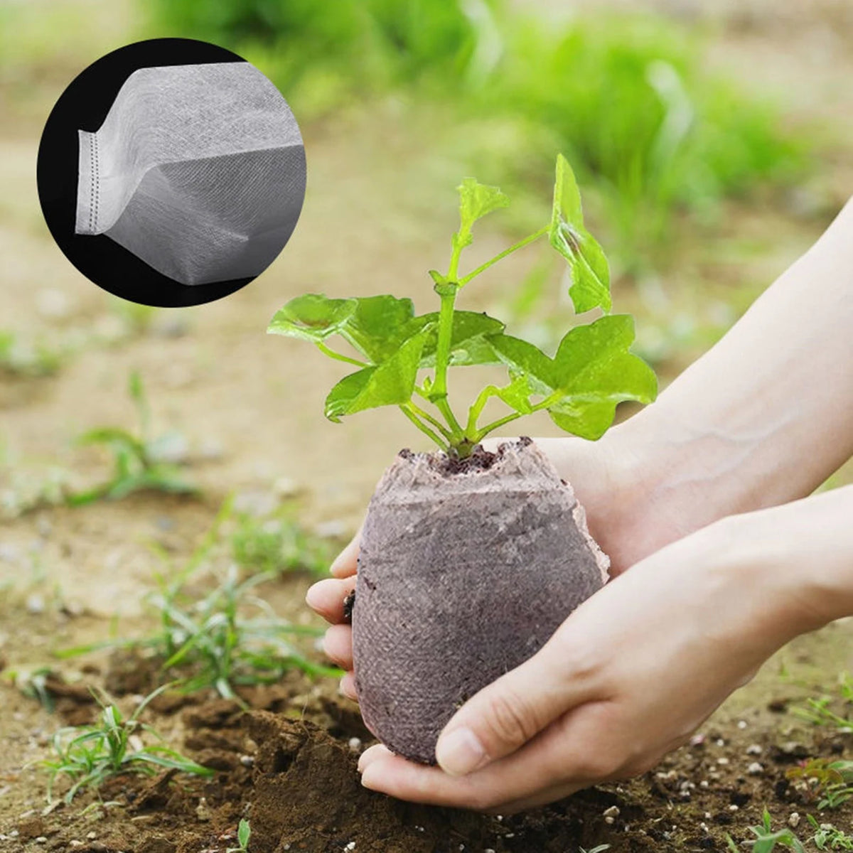 100pcs Disposable Plant Nursery Bag Great Water Retention Plant Nursery Bag for Improving Plants Survival Rate