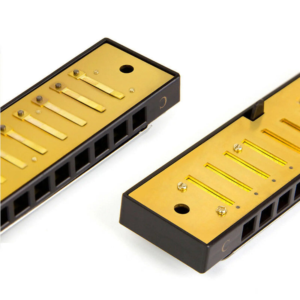 Stainless Steel 10 Hole Key of C Kids Blues Harmonica French Harp Mouth Organ Phosphor Bronze Reeds High Quality