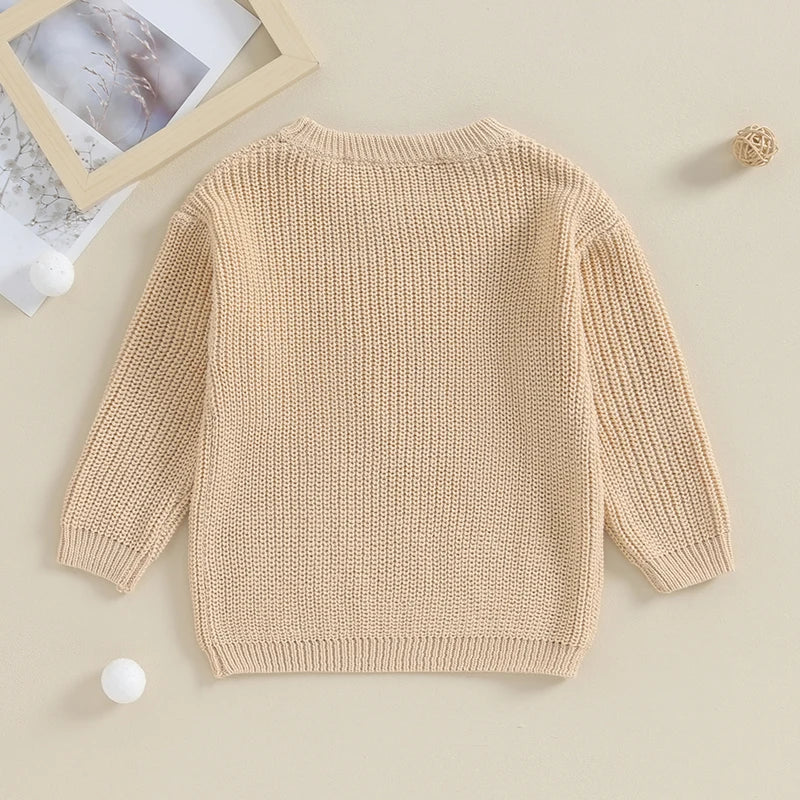 Toddler Boys Cotton Embroidered Letter Sweater, Long Sleeve Loose Pullover 12M-5Y