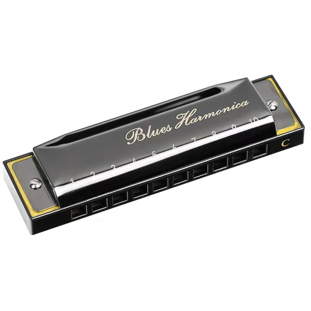 Stainless Steel 10 Hole Key of C Kids Blues Harmonica French Harp Mouth Organ Phosphor Bronze Reeds High Quality