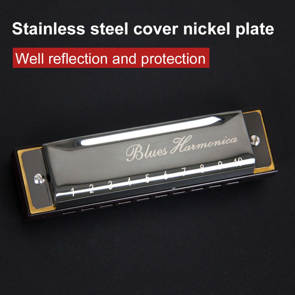 Stainless Steel 10 Hole Key of C Kids Blues Harmonica French Harp Mouth Organ Phosphor Bronze Reeds High Quality