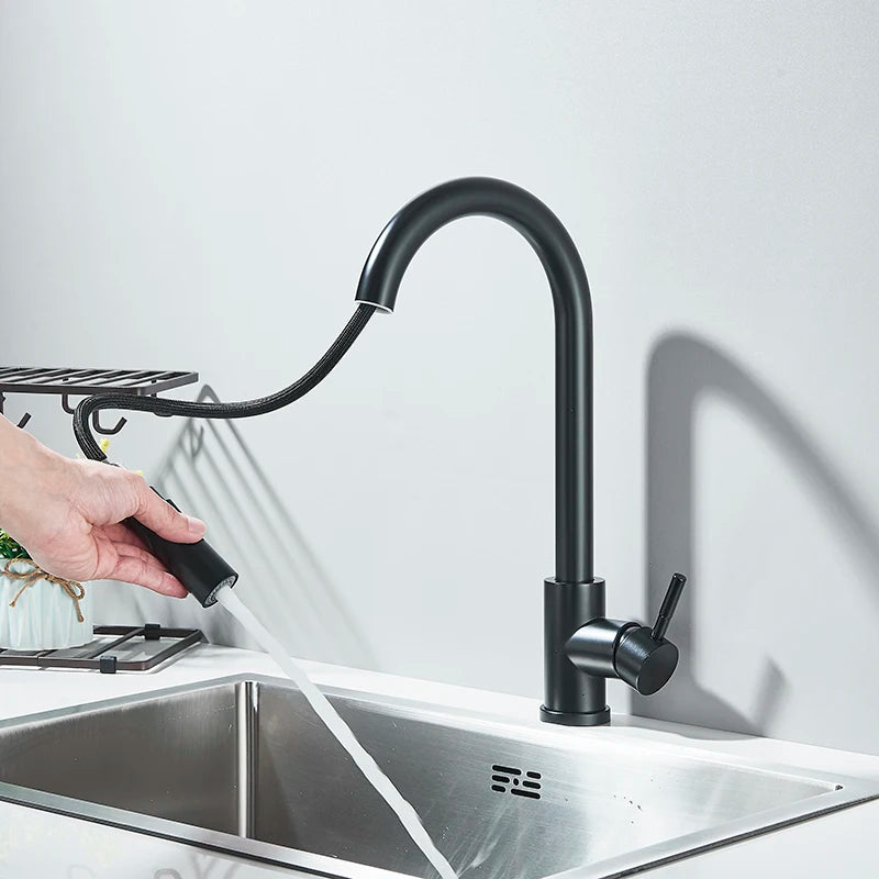 Matte Black Pull-Out Kitchen Faucet with 2 Spray Modes