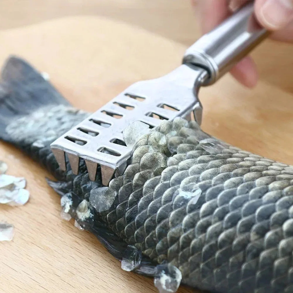 Multi-Purpose Kitchen Scraper, for Fish, Ginger, Veggies. 23cm, Non-Slip Handle, Versatile Tool