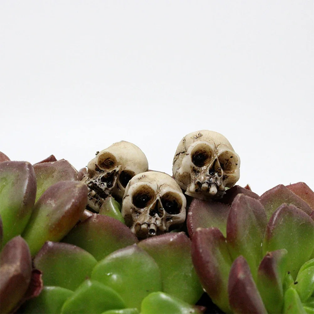20-Piece Mini Resin Skull Figures, Halloween Gothic Decor for Fairy Gardens and Crafts