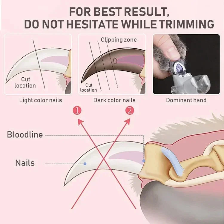 Professional Pet Nail Clipper Scissors with LED Light, Cat and Dog Nail Clippers, Claw Cutter Pet Supply