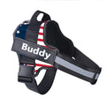 Personalized No-Pull Dog Harness, Reflective Breathable Vest for Small to Large Dogs, Walking and Training