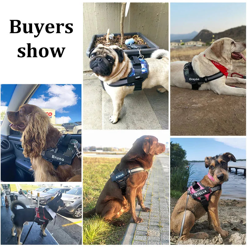 Personalized No-Pull Dog Harness, Reflective Breathable Vest for Small to Large Dogs, Walking and Training