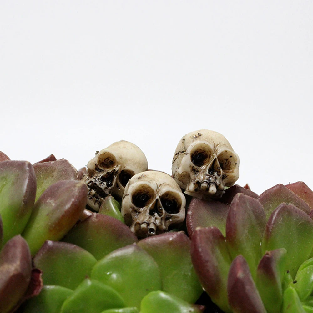 20-Piece Mini Resin Skull Figures, Halloween Gothic Decor for Fairy Gardens and Crafts