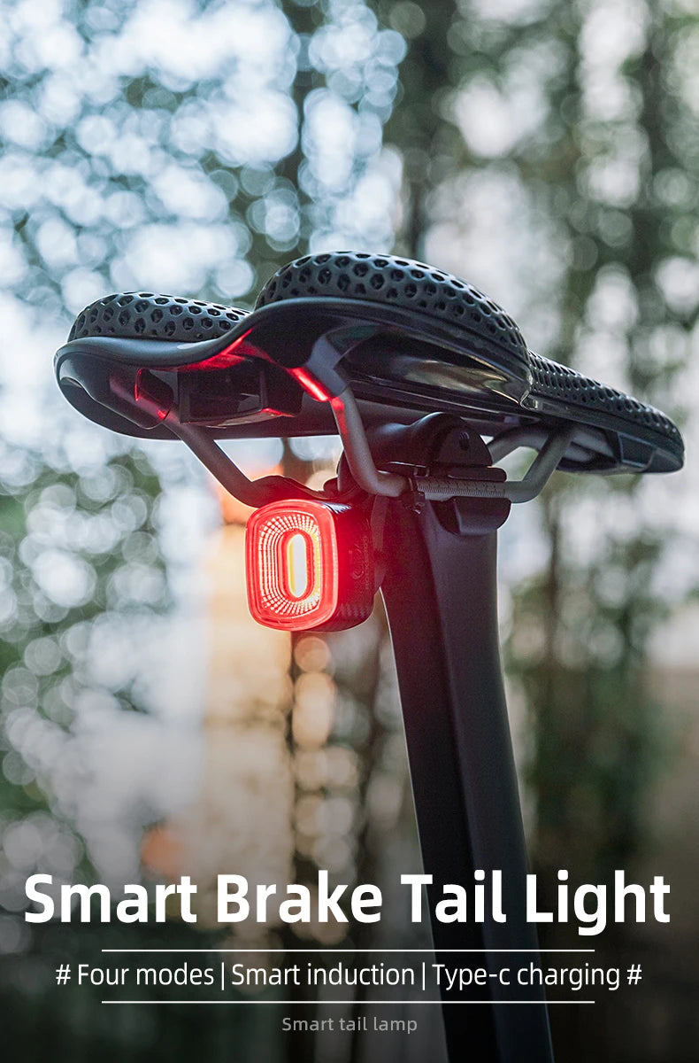 ROCKBROS Smart Brake-Sensing Bike Tail Light