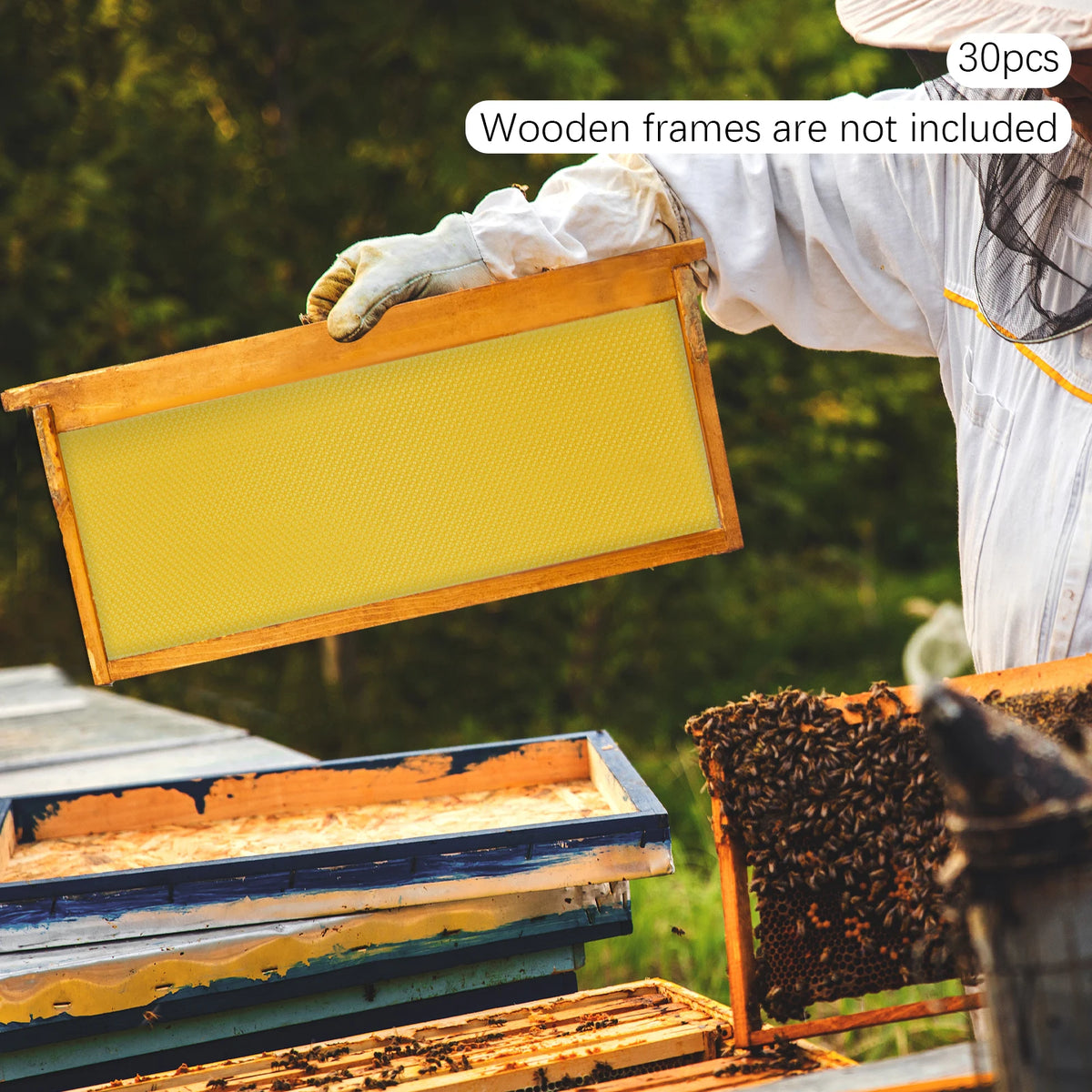 30-Pack Beeswax Foundation Sheets Natural Beeswax Hive Foundations Beekeeper's Starter Kit 7.68x16.34" Beekeeping Sheets for Increased Honey Production