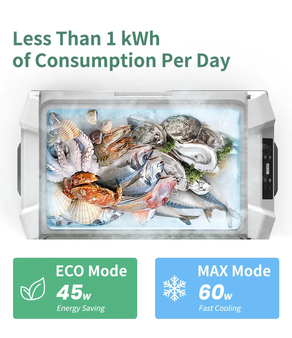 Alpicool NL 12V Compressor Car Fridge Freezer