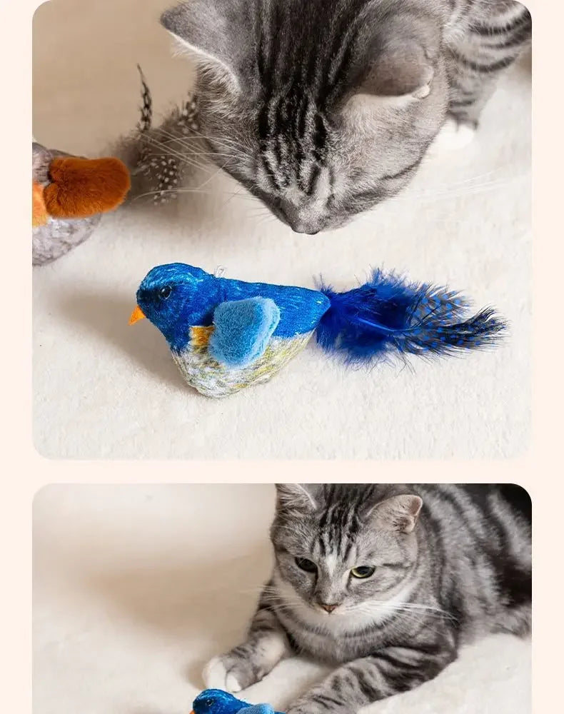 Hanging Bird Cat Toy with Catnip, Interactive Squeaky Self-Play Teaser for Kittens