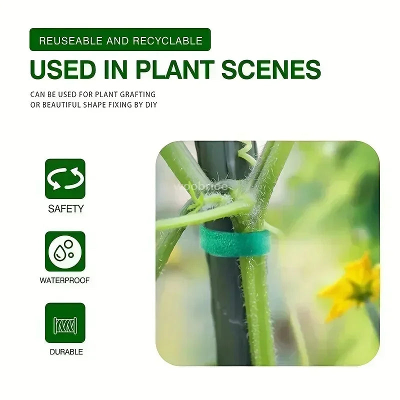 Self Adhesive Plant Nylon Cable Tie Green Adjustable Plants Hook Loop Support Garden Twine Bandage Reusable Fastener Tape Strips