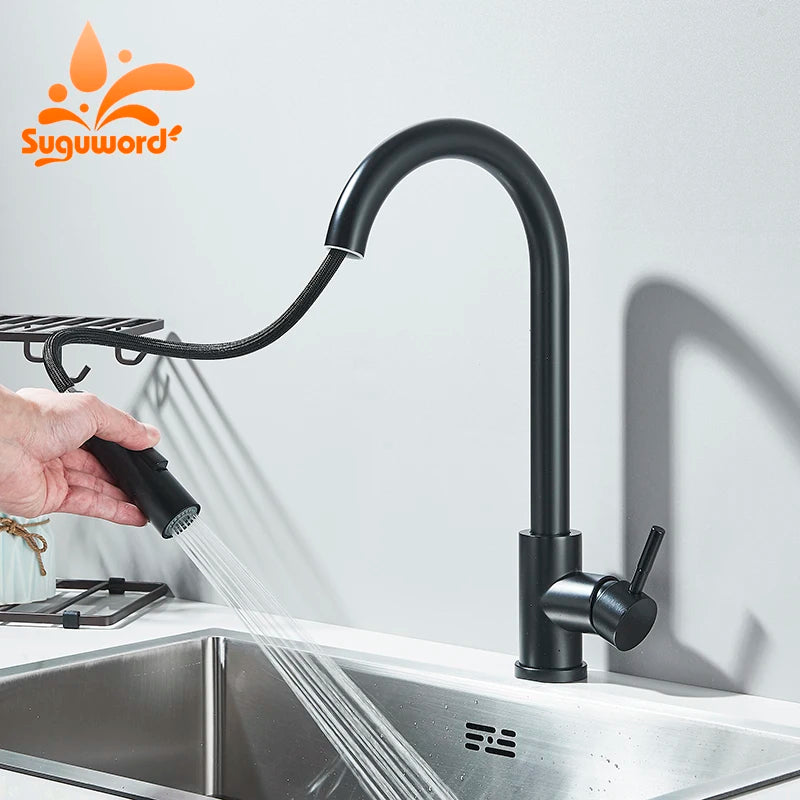 Matte Black Pull-Out Kitchen Faucet with 2 Spray Modes