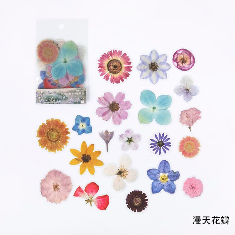 40-Piece Vintage Ginkgo Leaf Clear PET Stickers, Waterproof Journal and Scrapbook Decals