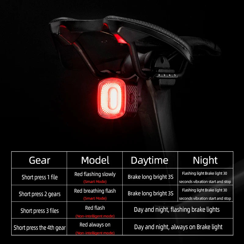 ROCKBROS Smart Brake-Sensing Bike Tail Light