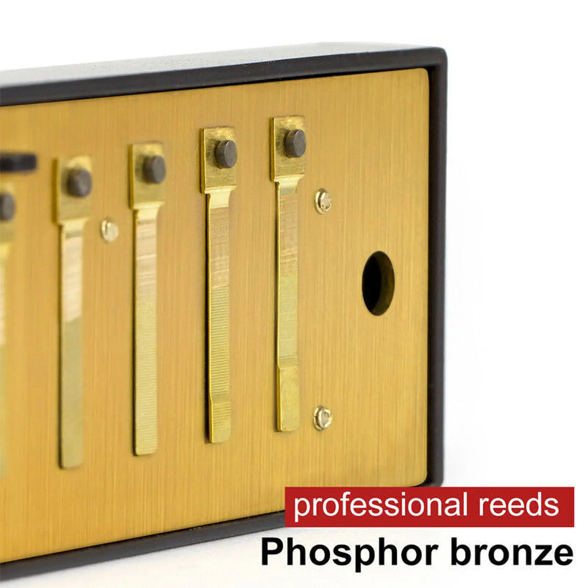 Stainless Steel 10 Hole Key of C Kids Blues Harmonica French Harp Mouth Organ Phosphor Bronze Reeds High Quality