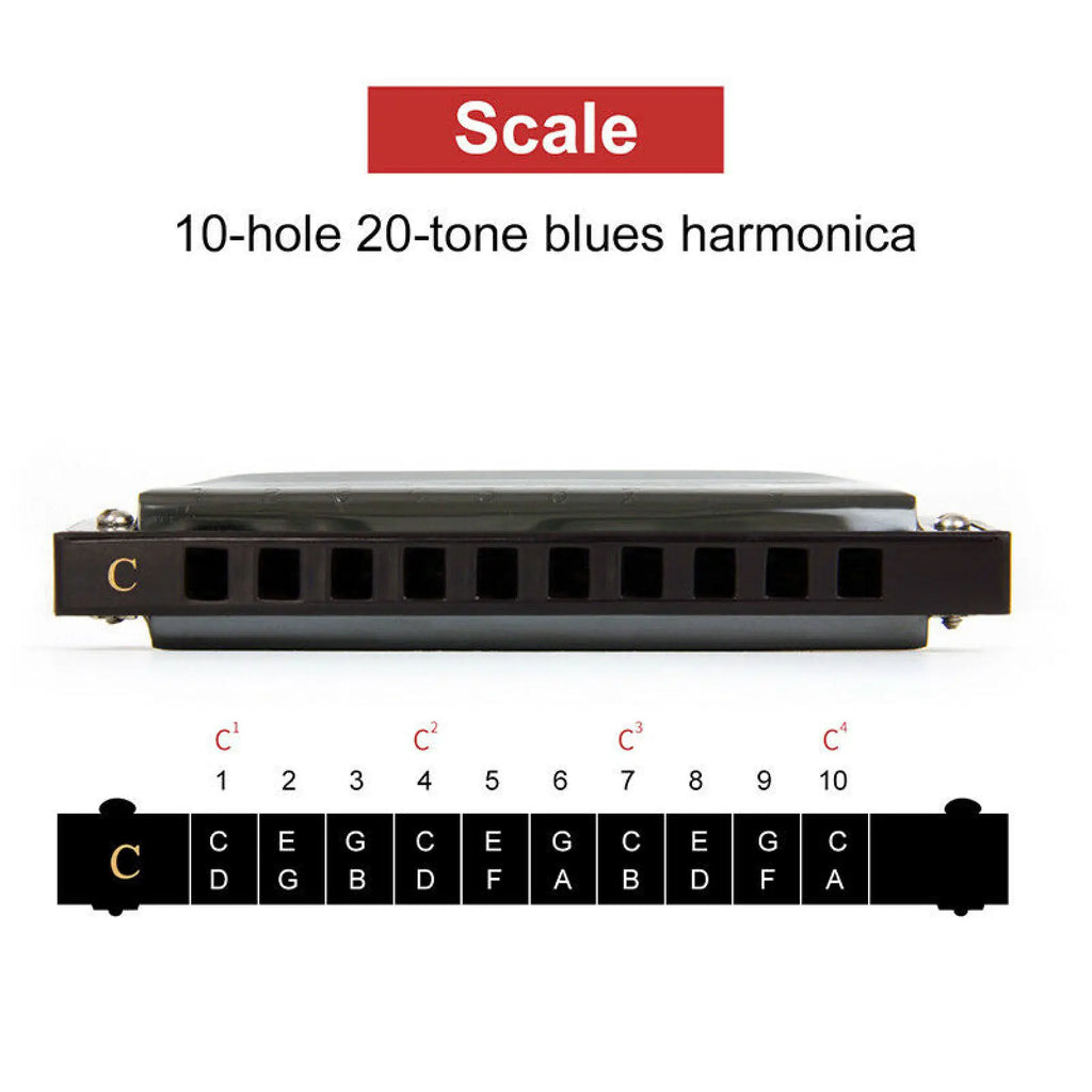 Stainless Steel 10 Hole Key of C Kids Blues Harmonica French Harp Mouth Organ Phosphor Bronze Reeds High Quality