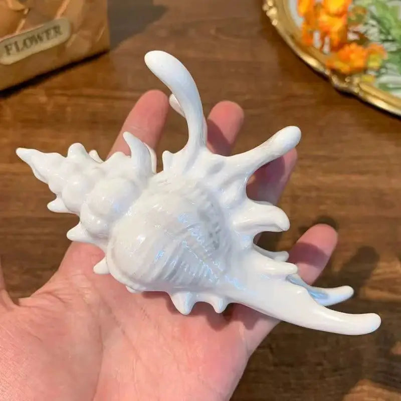 Seashell Acrylic Claw Hair Clip