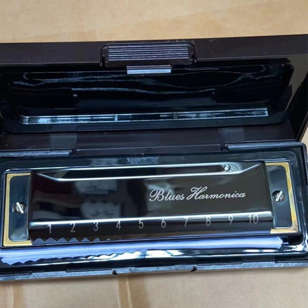Stainless Steel 10 Hole Key of C Kids Blues Harmonica French Harp Mouth Organ Phosphor Bronze Reeds High Quality