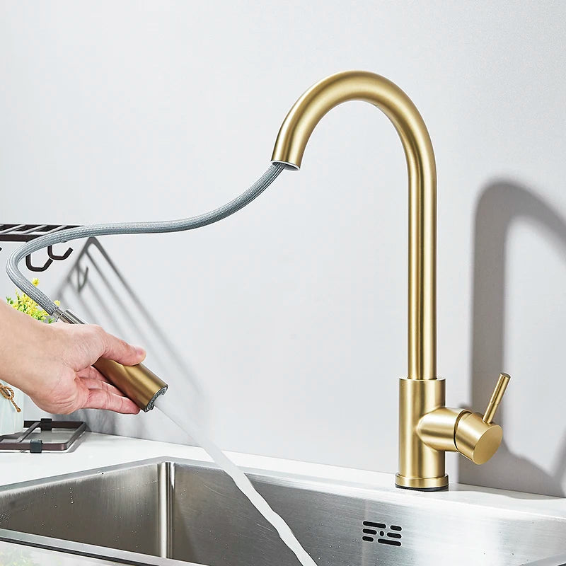 Matte Black Pull-Out Kitchen Faucet with 2 Spray Modes