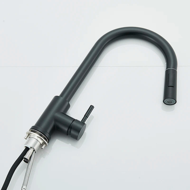 Matte Black Pull-Out Kitchen Faucet with 2 Spray Modes