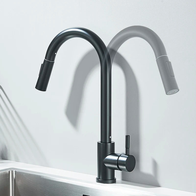 Matte Black Pull-Out Kitchen Faucet with 2 Spray Modes