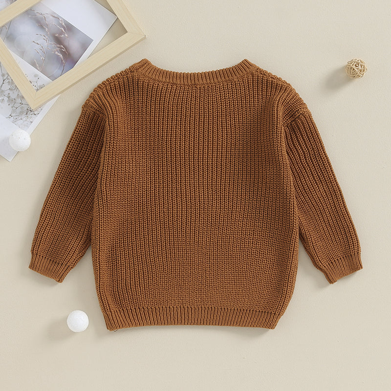 Toddler Boys Cotton Embroidered Letter Sweater, Long Sleeve Loose Pullover 12M-5Y