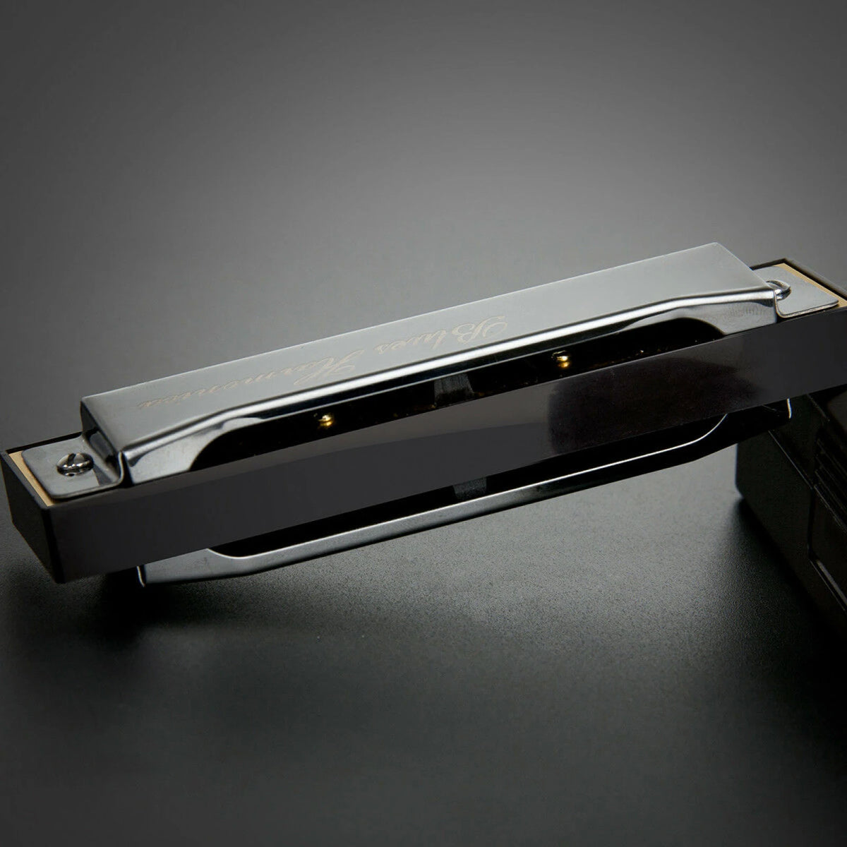 Stainless Steel 10 Hole Key of C Kids Blues Harmonica French Harp Mouth Organ Phosphor Bronze Reeds High Quality