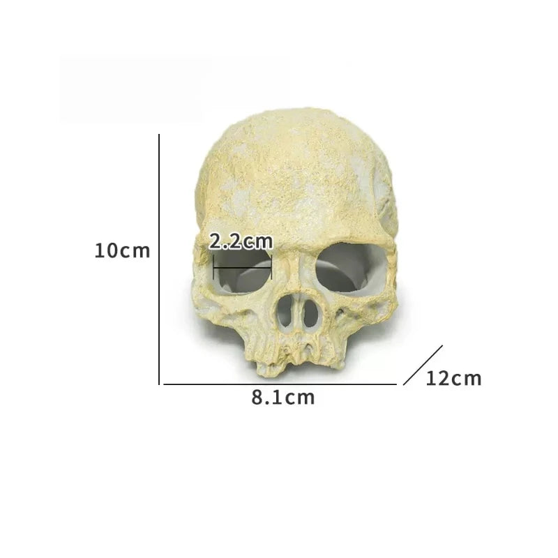 Realistic Artificial Skull Decor for Reptile Terrariums Ideal for Bearded Dragons Snakes Durable Enhances Habitat Aesthetics