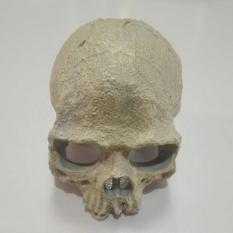 Realistic Artificial Skull Decor for Reptile Terrariums Ideal for Bearded Dragons Snakes Durable Enhances Habitat Aesthetics