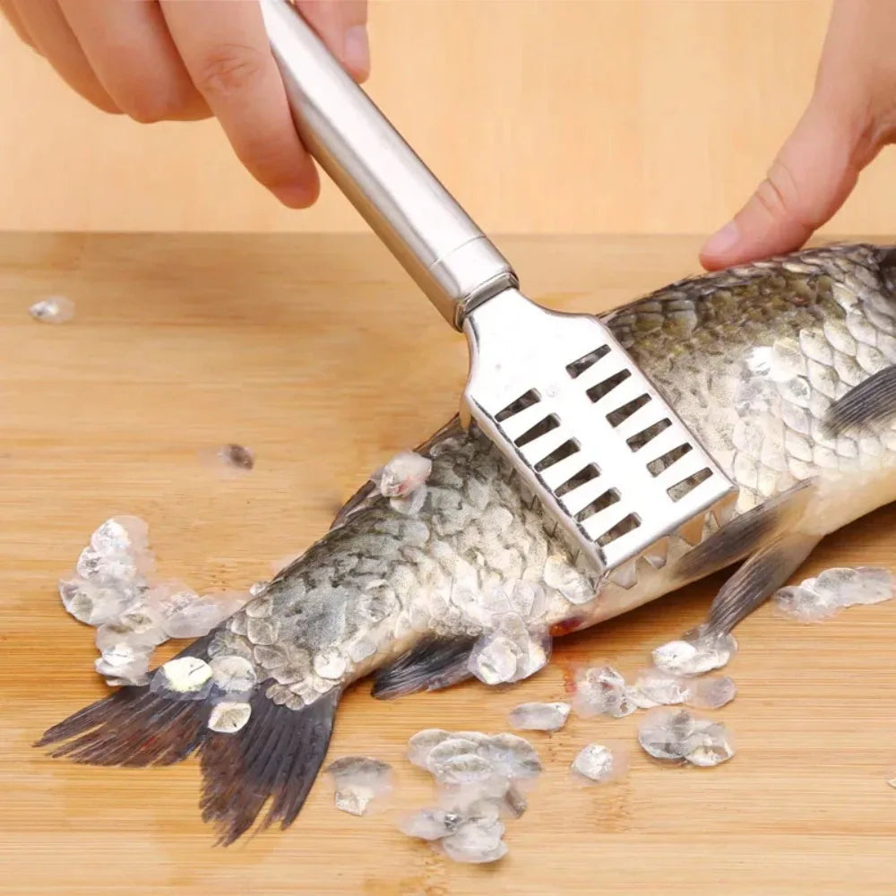 Multi-Purpose Kitchen Scraper, for Fish, Ginger, Veggies. 23cm, Non-Slip Handle, Versatile Tool