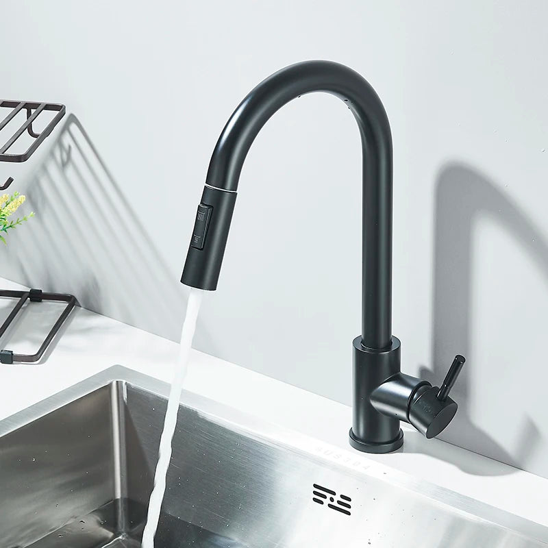 Matte Black Pull-Out Kitchen Faucet with 2 Spray Modes