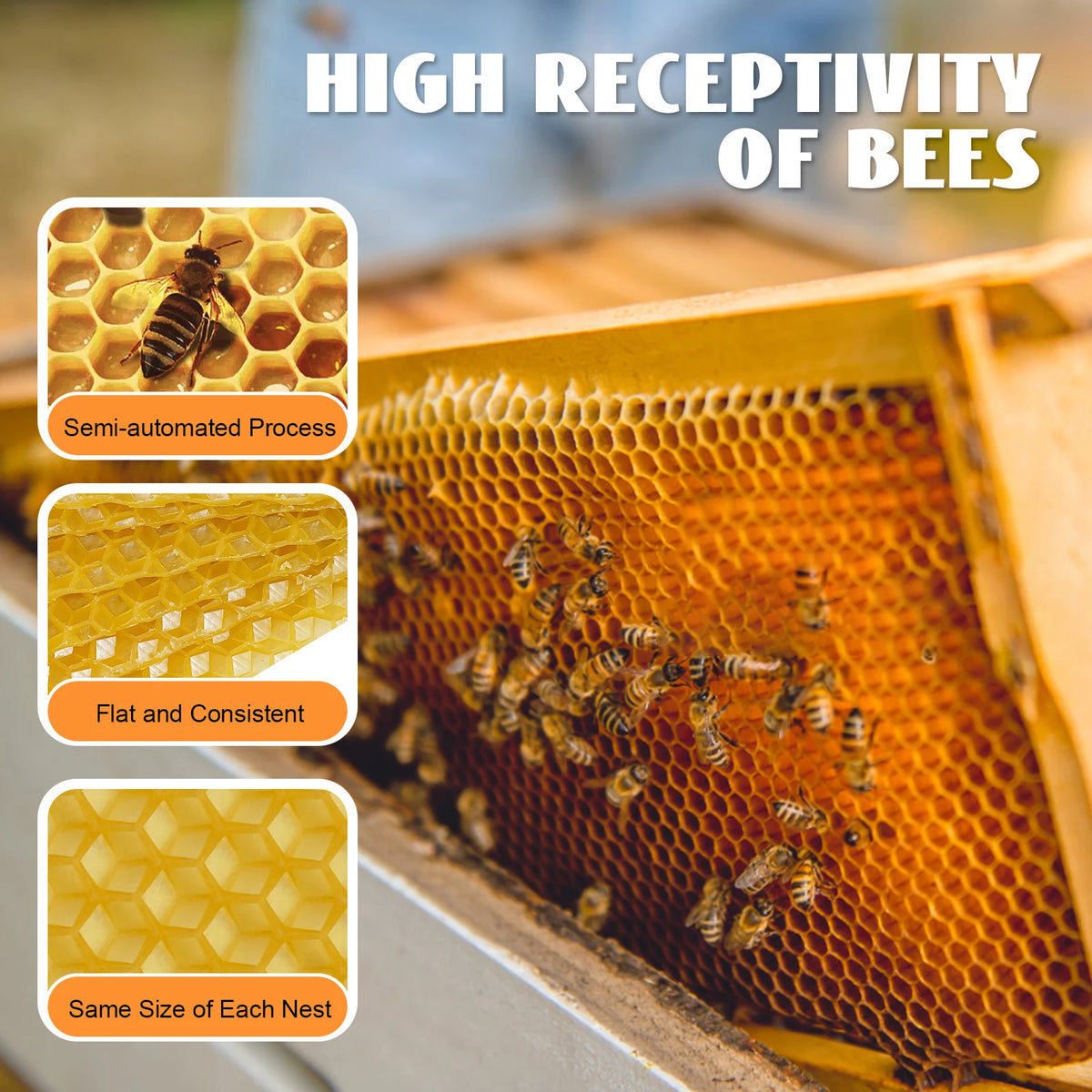 30-Pack Beeswax Foundation Sheets Natural Beeswax Hive Foundations Beekeeper's Starter Kit 7.68x16.34" Beekeeping Sheets for Increased Honey Production